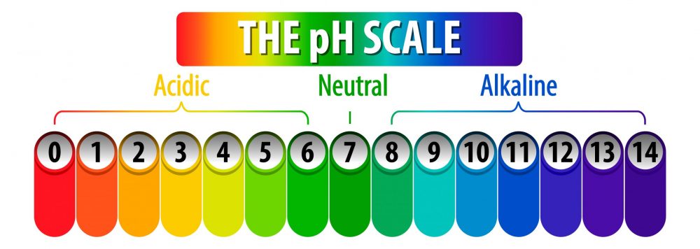 ค่า pH