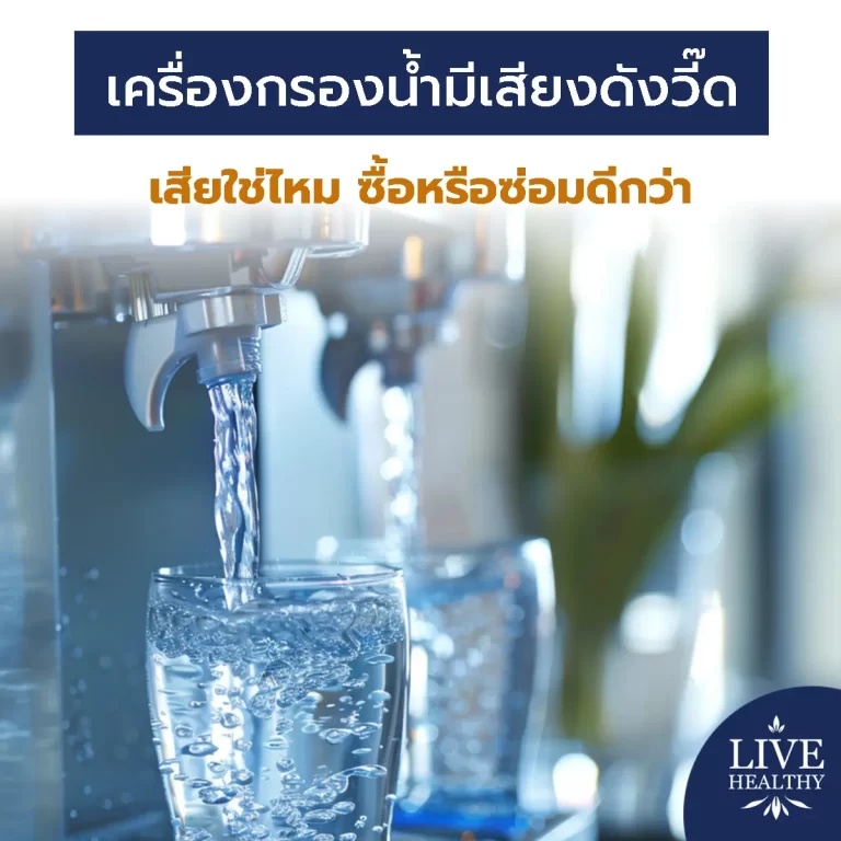 เครื่องกรองน้ำมีเสียงดังวี๊ด