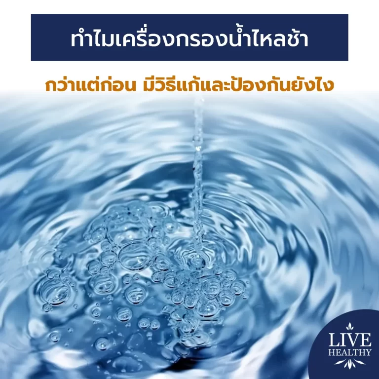 เครื่องกรองน้ำไหลช้า