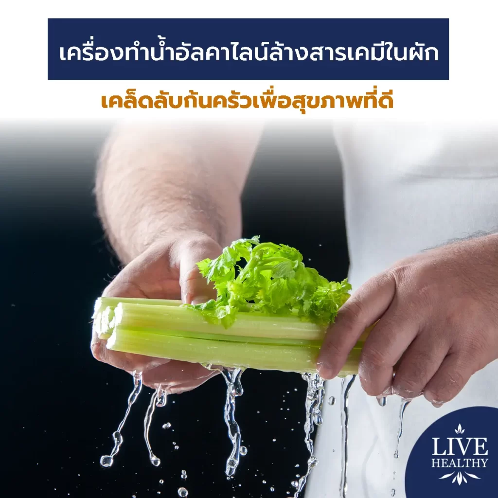 เครื่องทำน้ำอัลคาไลน์ ล้างสารเคมีในผัก เคล็ดลับก้นครัวเพื่อสุขภาพที่ดี